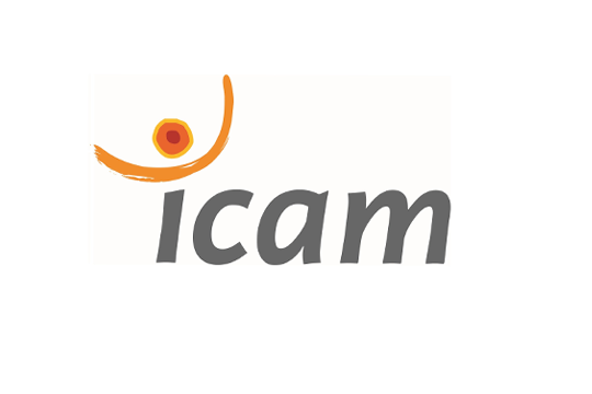 Projet drone - Icam parcours ouvert 